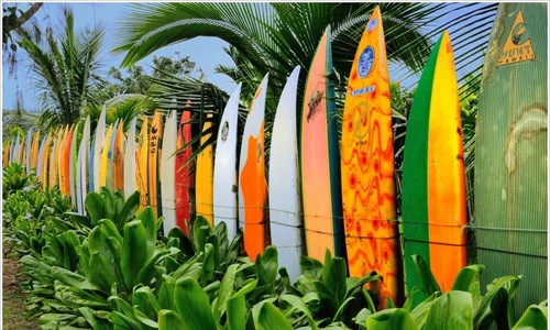 Những kiểu hàng rào trang trí vườn nhà cực độc