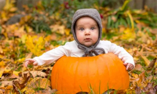 Tan chảy với ảnh em bé trong bí ngô siêu dễ thương