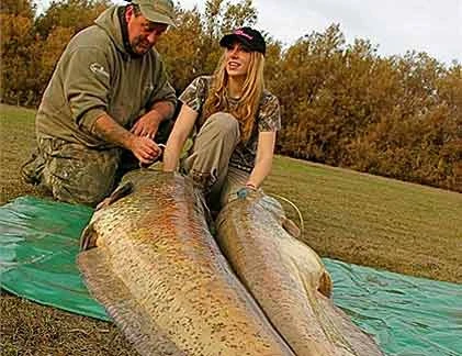 Những thủy quái khủng bị con người chinh phục (15)