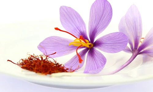 Sốc gia vị siêu đắt đỏ khiến nhà giàu Việt phát cuồng