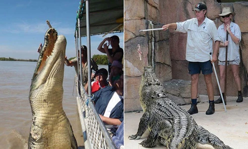 Những công việc nguy hiểm nhưng lương cao