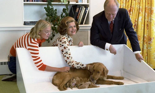 Thú cưng đắt đỏ trong Nhà trắng được yêu chiều ra sao?