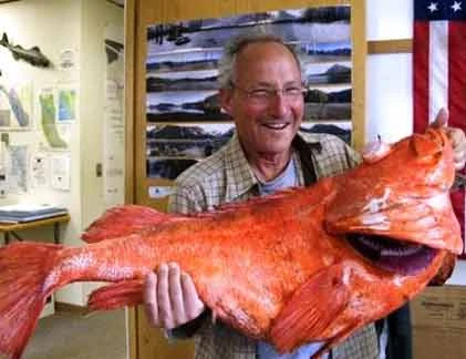 Những thủy quái khủng bị con người chinh phục (3)