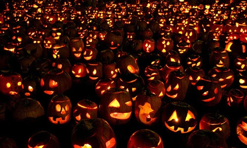 Đèn bí ngô Halloween đội giá vì thời tiết xấu