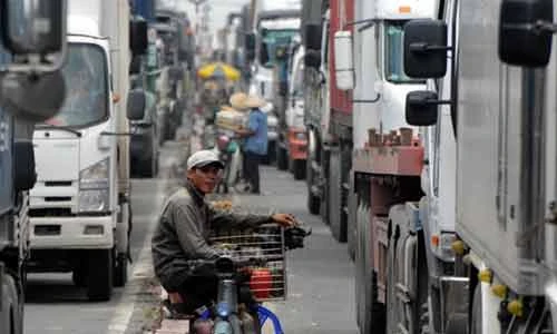 Thót tim cảnh kiếm ăn trước miệng tử thần ở Sài Gòn