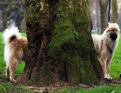 Khoảnh khắc trùng hợp đến lạ kỳ (20)