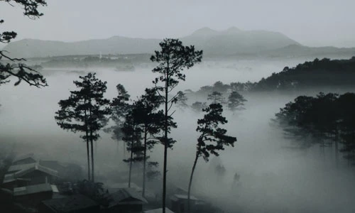 Ảnh tư liệu về Đà Lạt mộng mơ và tao nhã 