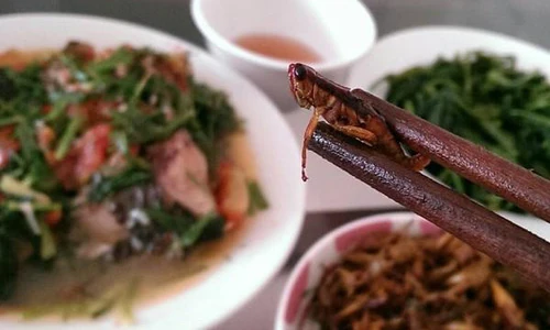 Những món đặc sản hái ra tiền vào mùa lúa chín