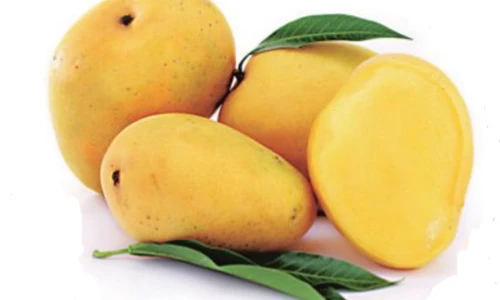 Tận mục giống xoài ngon nhất thế giới