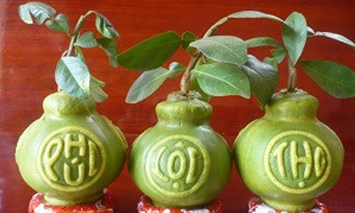 Chùm ảnh loại trái cây tạo hình độc lạ trưng Tết