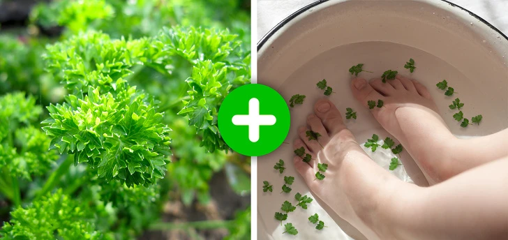 Bất ngờ 10 cách trị nứt gót chân vừa rẻ vừa hiệu quả