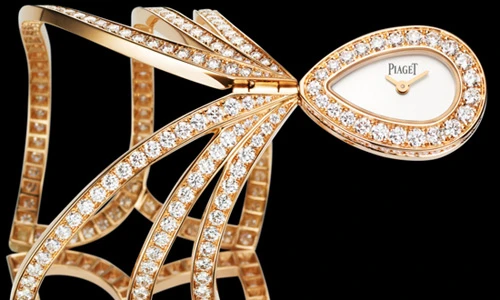 Cận cảnh đồng hồ đeo tay hình thù kỳ dị khác thường