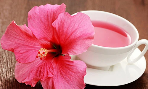 Đánh tan mỡ bụng với các loại thảo dược thiên nhiên dễ tìm