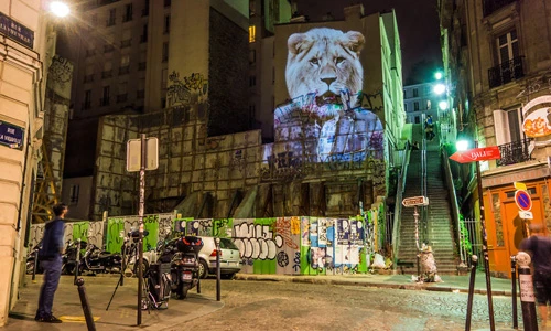 Tranh trang trí tường hình thú sống động trên các tòa nhà