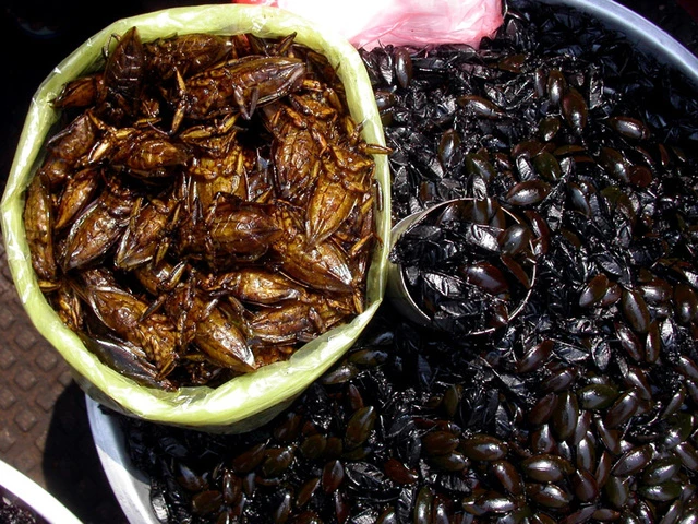 Cà niễng, đặc sản Ninh Bình khiến nhiều người khiếp vía