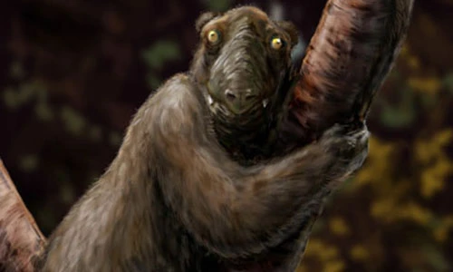 6 loài động vật tuyệt chủng bị con người lãng quên