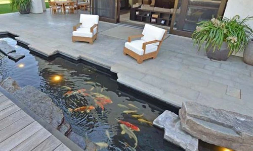 Ý tưởng thiết kế ao cá cho sân sau nhà đẹp