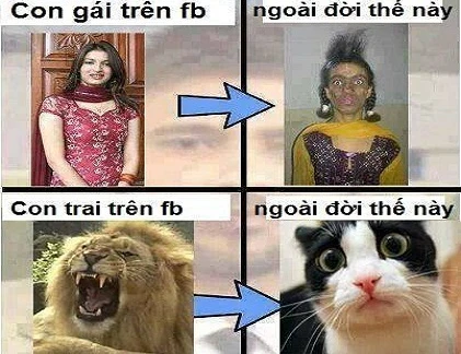 Ảnh cười Facebook: So sánh vui