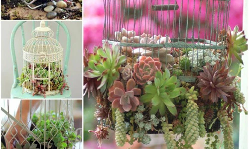 Bật mí cách biến lồng chim cũ thành giỏ hoa trang trí