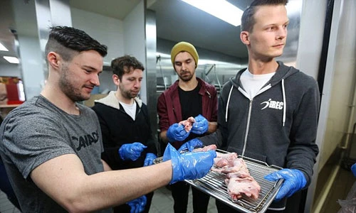 Hé lộ hình ảnh khu bếp bí mật của KFC