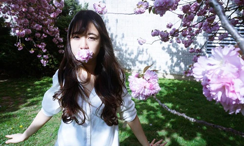 Hot girl du học sinh Việt khoe sắc dưới tán anh đào