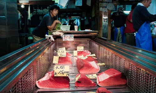 Những hình ảnh ấn tượng bên trong chợ cá nổi tiếng của Nhật