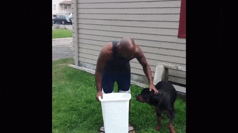 Thử thách với nước đá.