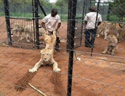 Ảnh cười Facebook: Thanh niên cứng