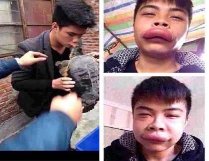 Ảnh cười Facebook: Nụ cười "Flappy Bird"