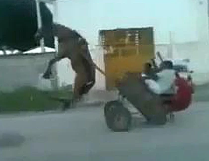 Những pha "bốc đầu" không tưởng (2)