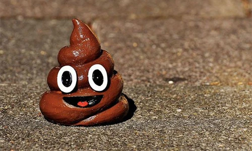 Những loại ma túy “điên rồ” có thể bạn không biết 