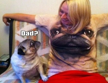 Chộp khoảnh khắc hài hước trong cuộc sống (77)