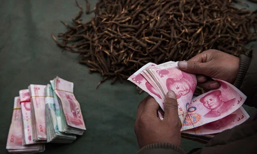 Xem dân Trung Quốc “kiếm bộn” nhờ săn đông trùng hạ thảo