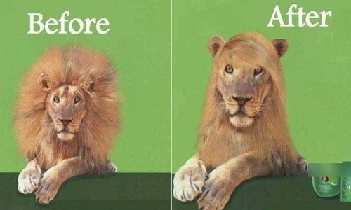 Cười sặc với loạt ảnh trước và sau siêu hài hước