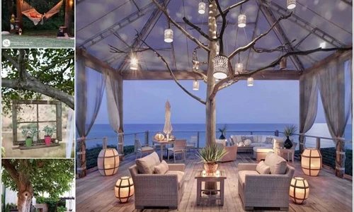 Những kiểu trang trí cây cối quanh nhà ấn tượng