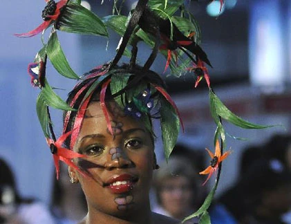 Những kiểu tóc hài hước nhất quả đất (2)