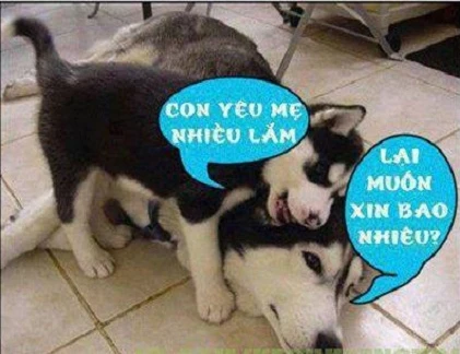 Giây phút nguy hiểm của động vật (41)