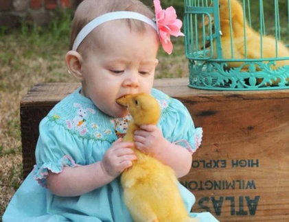 Khi bé yêu "cưỡng hôn" động vật