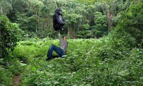 Cười đau ruột với những bức ảnh Photoshop