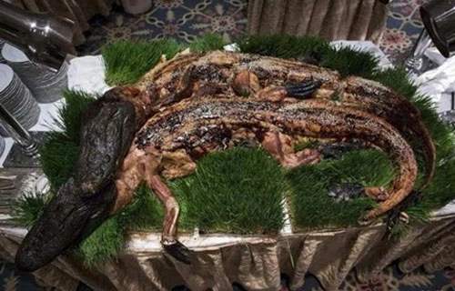 Hãi hùng thực đơn khoái khẩu kinh dị của đại gia