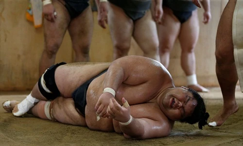 Loạt ảnh hiếm bên trong lò huấn luyện sumo của Nhật