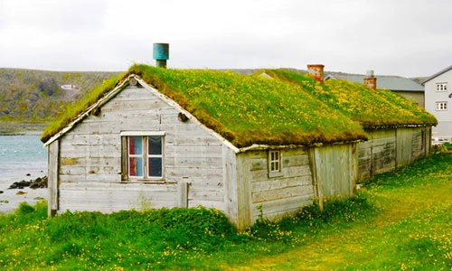 Mát mắt với nhà đẹp phủ cỏ xanh mượt