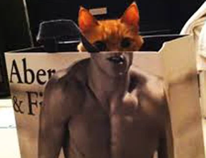 Khoảnh khắc trùng hợp đến kỳ lạ (38)