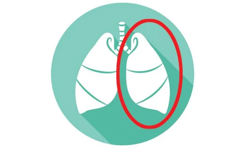 Khuyết 9 bộ phận nội tạng quan trọng này thì bạn vẫn sống tốt