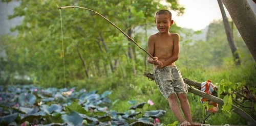 Đầm sen ở Nghệ An đua nhau nở "đốn tim" du khách