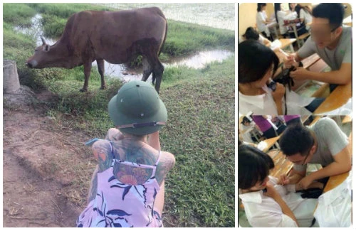 “Hot girl chăn bò” xăm kín lưng gây tò mò 