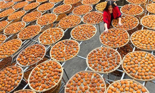 Bên trong khu chế biến hồng sấy khô bắt mắt ở Trung Quốc