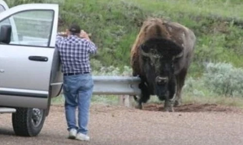 Đừng đùa với tính mạng!