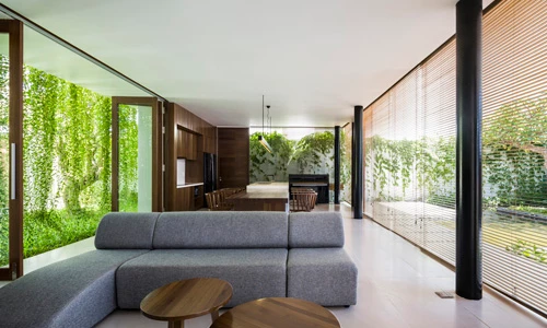 Ngôi nhà có giàn dây leo xanh mát ở Vũng Tàu lên báo ngoại