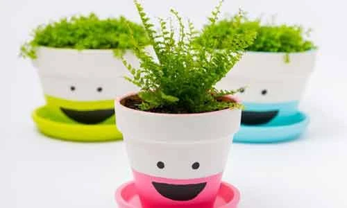 Tự trang trí chậu hoa để bàn siêu dễ thương